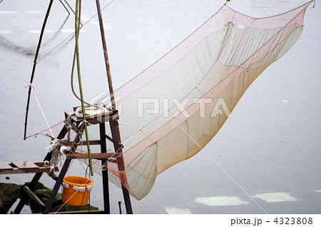 シロウオ漁 4323808