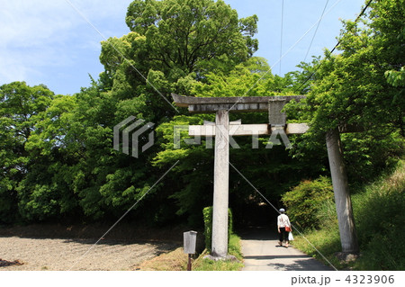 奈良　山辺の道　夜都岐神社 4323906
