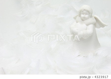 羽根の妖精 4323917