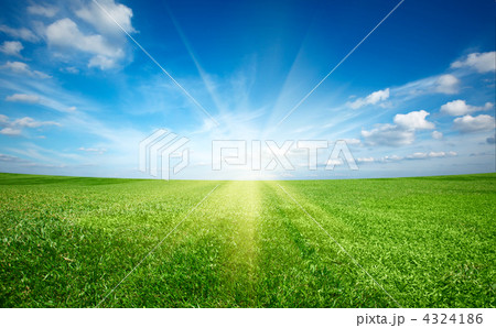 Sunset sun and field of green fresh grass under blue sky 4324186