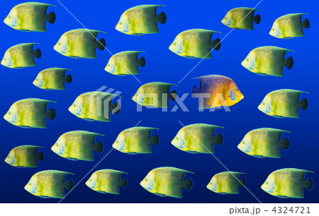 Going different way 4324721