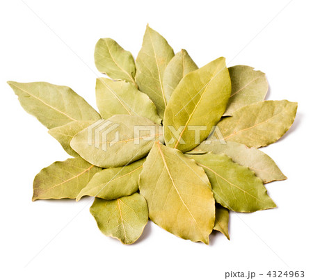 Pile of bay leaves isolated 4324963