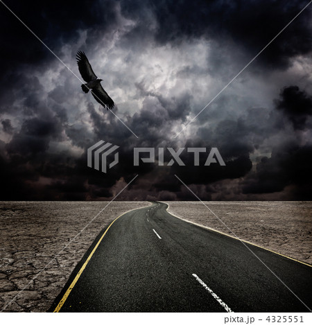 Storm, bird, road in desert 4325551