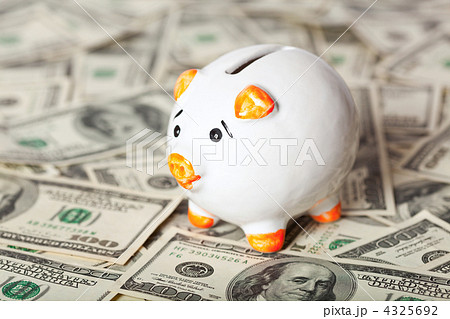 Piggy bank on dollars 4325692