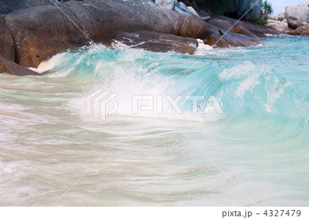 Tropical Bay 4327479