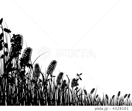 meadow silhouettes meadow silhouettes 4328101