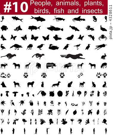 vector silhouettes set 4328611