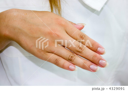 きれいな手 4329091