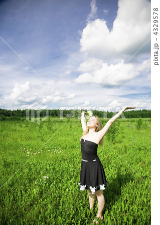 Summer Dreams 4329578