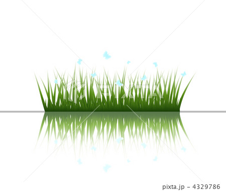 grass on water grass on water 4329786