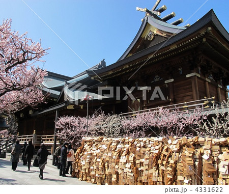 湯島天神 4331622