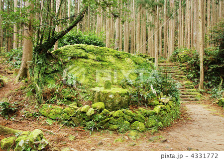 熊野古道 4331772