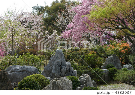 京都　将軍塚大日堂の庭園 4332037