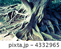 4332965