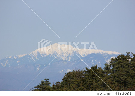 早春の仙丈ヶ岳 4333031