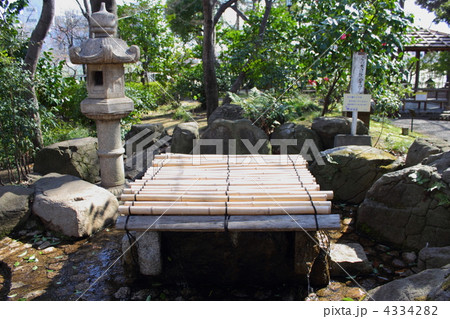 蘇峰公園の湧き水 蘇峰公園の湧き水 4334282