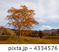 4334576