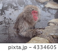 4334605