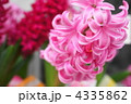 4335862