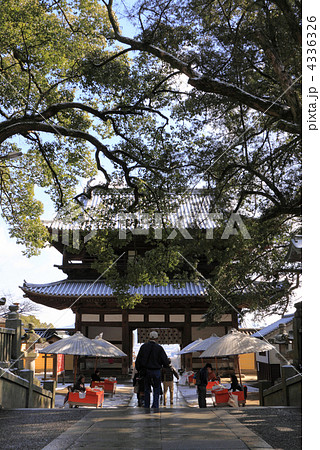 雪の金刀比羅宮、境内で商う「五人百姓」 4336326