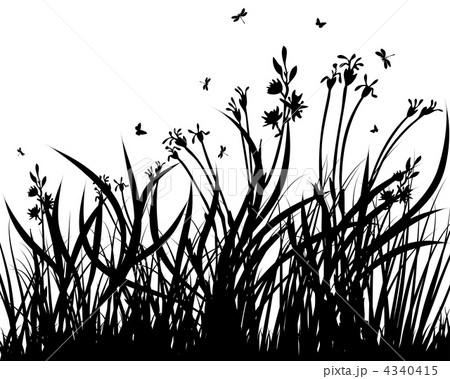 meadow silhouettes meadow silhouettes 4340415