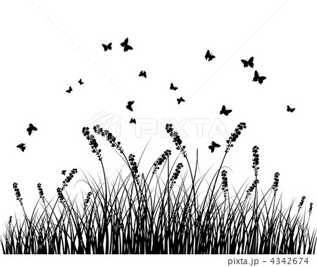 meadow silhouettes 4342674