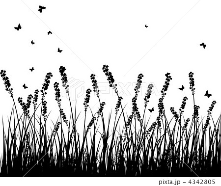 meadow silhouettes meadow silhouettes 4342805