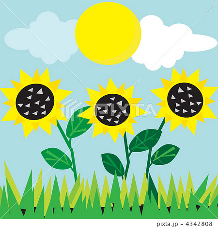 meadow card meadow card 4342808