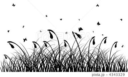 meadow silhouettes 4343329