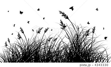 meadow silhouettes 4343330