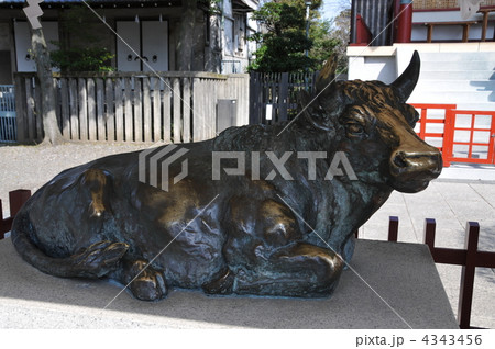 亀戸天満宮の神牛 4343456