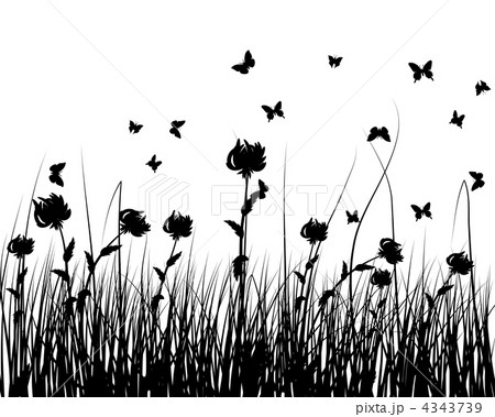 meadow silhouettes meadow silhouettes 4343739