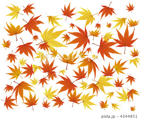 autumn leaves 4344851
