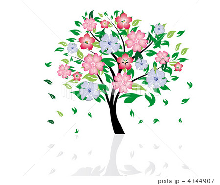 blossom tree 4344907