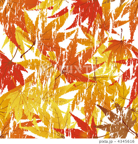 seamless floral pattern seamless floral pattern 4345616