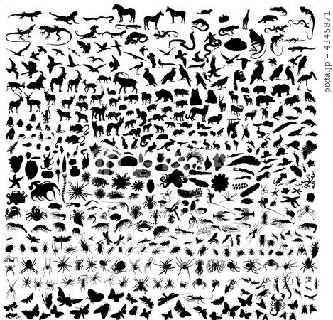 animals 4345871