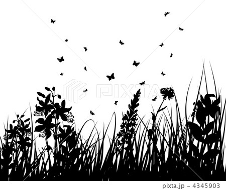 meadow silhouettes meadow silhouettes 4345903