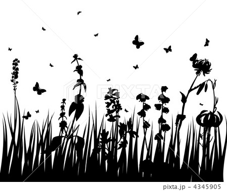 meadow silhouettes meadow silhouettes 4345905
