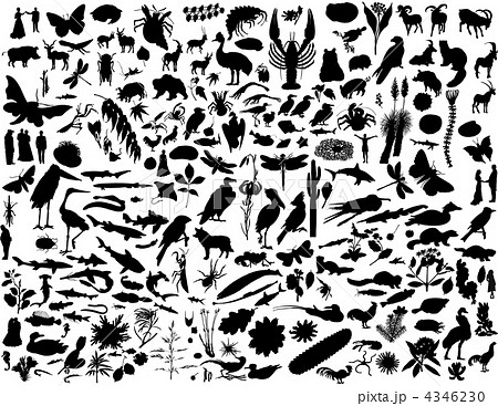 collage silhouettes collage silhouettes 4346230