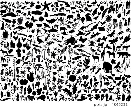 collage silhouettes collage silhouettes 4346231