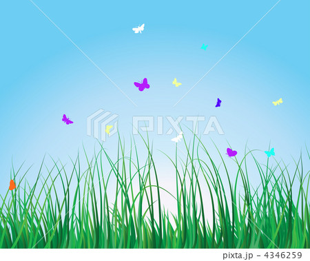 grass background 4346259