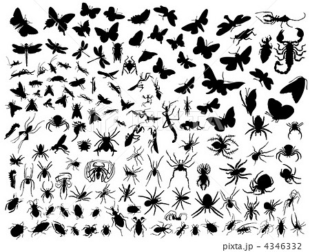 vector insects 4346332