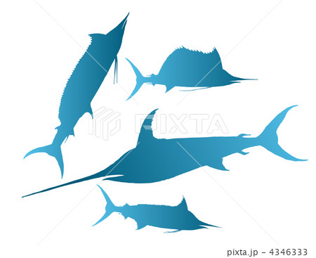 marlin,  sailfish vector 4346333