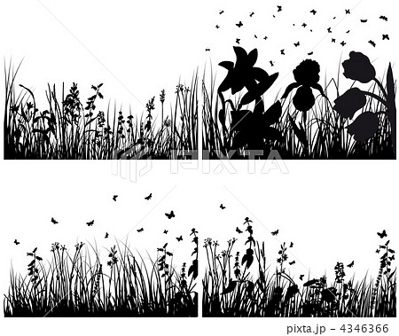 set of grass silhouettes set of grass silhouettes 4346366