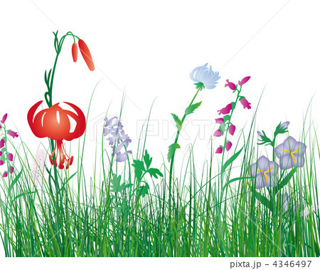 meadow silhouettes meadow silhouettes 4346497