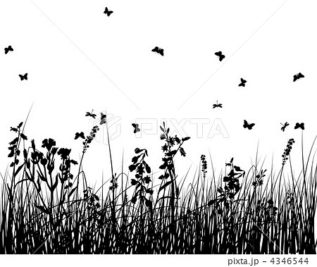 meadow silhouettes meadow silhouettes 4346544