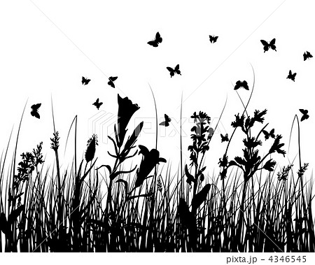 meadow silhouettes meadow silhouettes 4346545