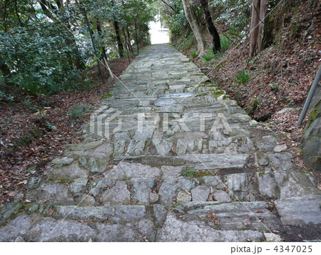 神社の石段（上段からの眺め） 4347025