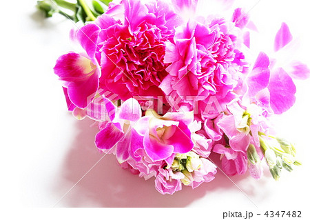 春の花で作ったピンクのブーケの写真素材