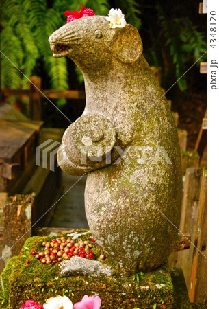 大国社の「狛ネズミ」(大豊神社/京都市左京区鹿ケ谷宮ノ前町) 大国社の「狛ネズミ」(大豊神社/京都市左京区鹿ケ谷宮ノ前町) 4348120